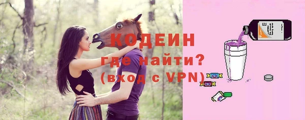 хмурый Михайловск