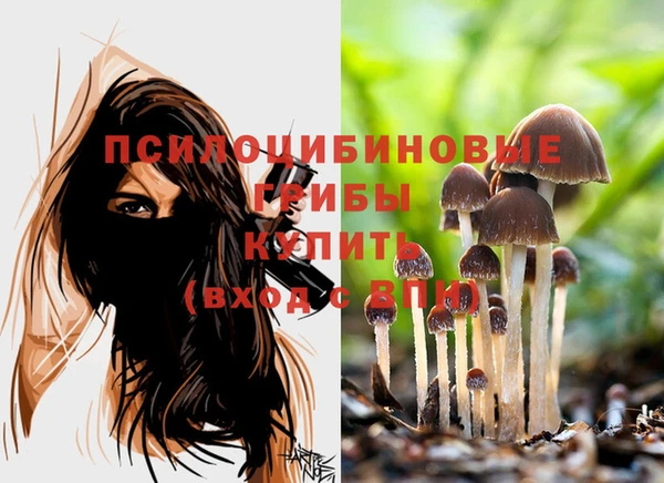 герыч Михайлов