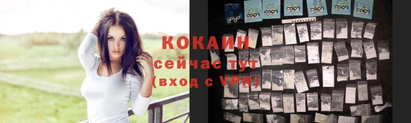 хмурый Михайловск
