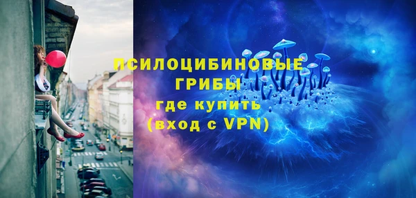 хмурый Михайловск