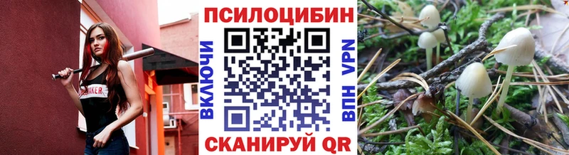 kraken ссылки  где купить   Нягань  Галлюциногенные грибы прущие грибы 