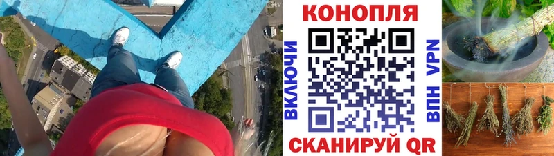 Шишки марихуана марихуана  Нягань 